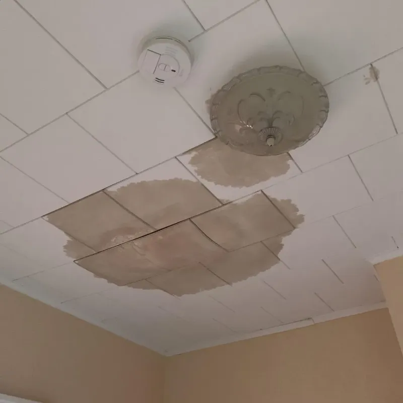 Ceiling Water Damage Repair in Jewell County, KS